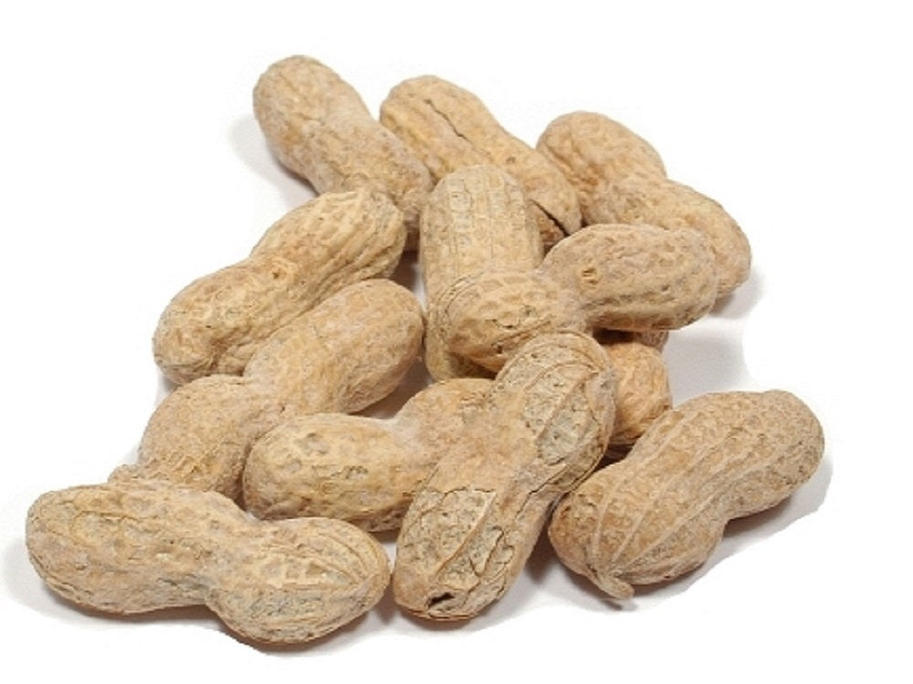 Peanuts (Roasted / Salted in Shell) - Nutty World